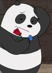 دلگیر شدن پاندا