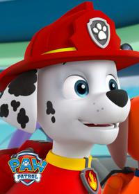 قسمت دوم Pups Save the Space Alien