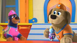 دانلود قسمت اول تا قسمت آخر فصل 1 کارتون جدید و سریالی سگ های سازنده Pupstruction 2023 با دوبله فارسی کامل مناسب تماشای خانوادگی