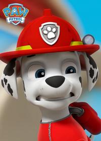 قسمت یازدهم Pups Save the Runaway Kitties