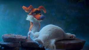 پلوی Flying the Nest (2018)