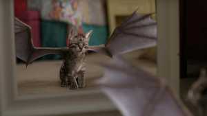 فیلم سینمایی جادوی وارونه دوبله کامل