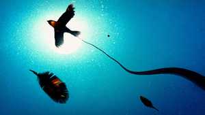 پیامبر The Prophet (2014)