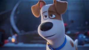 تماشای انیمیشن Minions & More 2 2022 با دوبله فارسی کامل