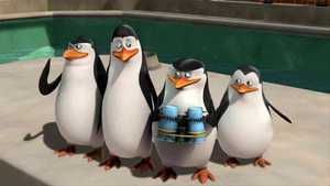 penguins-of-madagascar-1-copy