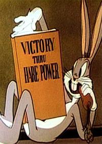 خرگوش شوالیه