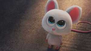 عملیات آجیلی 2 : ذاتن آجیلی The Nut Job 2 : Nutty by Nature (2017)