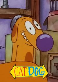 قسمت سیزدهم