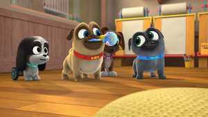 تماشا قسمت اول تا قسمت آخر کارتون هاپوهای ماجراجو Puppy Dog Pals دوبله فارسی با کیفیت عالی