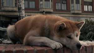 Hachi A Dog's Tale