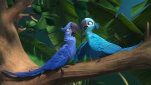 دانلود کیفیت عالی انیمیشن ریو طوطی 1 Rio ژانر کمدی و ماجراجویانه با دوبله فارسی کامل