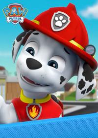 قسمت هشتم Pups Save the Flying Food