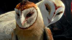 افسانه محافظان: جغدهای گاهول Legend of the Guardians: The Owls of Ga'Hoole (2010)