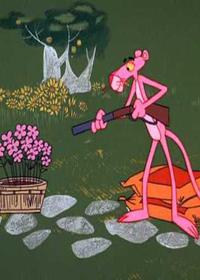 گربه و خرگوش