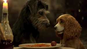 تماشای آنلاین فیلم سینمایی ماجراجویانه لیدی و ترمپ Lady and the Tramp سال 2019 ژانر کمدی و ماجراجویانه با دوبله فارسی