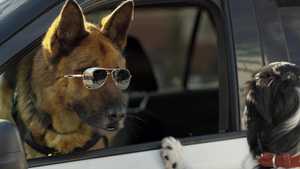 دانلود فیلم گربه ها و سگ ‌ها پنجه های متحد دوبله فارسی کامل