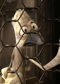 راسوی بیچاره