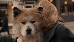 Hachi A Dog's Tale