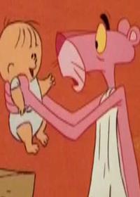 صورتی یانکی احمق