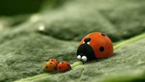 دره مورچه های گمشده Minuscule: Valley of the Lost Ants (2013)