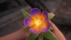 تماشا کارتون سینمایی پرنسس مغرور The Proud Princess 2024 با دوبله فارسی مناسب تماشا به همراه خانواده