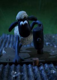 خروپف بره ناقلا