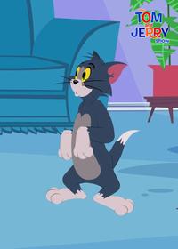 قسمت سی و ششم