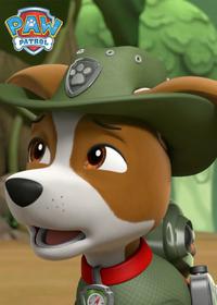 قسمت ششم Pups and the Stinky Bubble Trouble