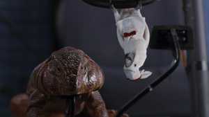 دانلود فیلم گربه ها و سگ ها 3 اتحاد پنجه ها دوبله فارسی کامل