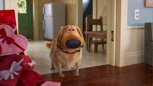 تماشای کارتون خنده دار و خانوادگی انیمیشن قرار کارل Carl's Date 2023 قسمت جدید کارتون بالا با دوبله فارسی