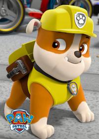 قسمت سیزدهم Pups Save an Elephant Family