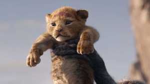 شیر شاه The Lion King