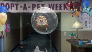 تیزپا Bolt (2008)