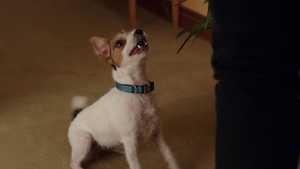 دانلود فیلم My Spy 2020 با دوبله فارسی