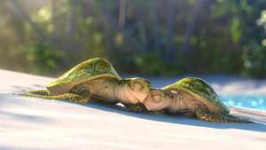 لاوا Lava (2014)