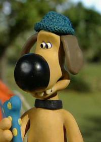 تیمی هیجان زده میشود