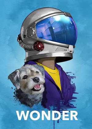 شگفت انگیز Wonder