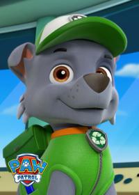 قسمت هفدهم Pups Save a Pool Day