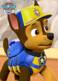 قسمت چهاردهم Pups Save a Shark