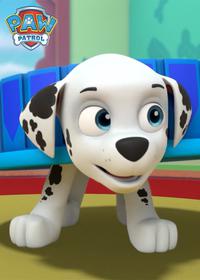 قسمت اول Pups Save a Blimp