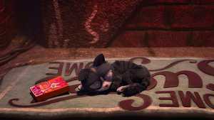 دانلود دوبله فارسی کارتون سینمایی حیوانات خانگی متحد  Pets United 2019با کیفیت عالی و مناسب تماشای خانوادگی