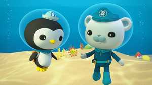 تماشای رایگان برنامه کودک اختانوردها و سد عظیم مرجانی Octonauts & the Great Barrier Reef با دوبله فارسی با بهترین کیفیت