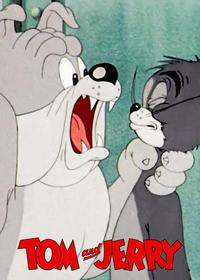 تام میلیونر