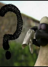 فصل پشم چینی