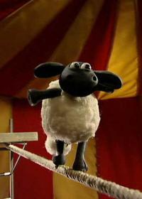 چیزهایی که بالا و پایین می پرند