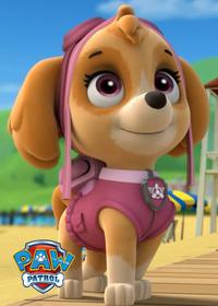 قسمت دوم Pups Save the Sea Turtles