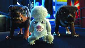 دنیای وحش The Wild