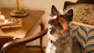 تماشا یا دانلود نسخه دوبله فارسی فیلم رانت Runt 2024 مناسب تماشا به همراه خانواده