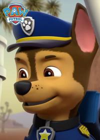 قسمت دوازدهم Pups Save a Manatee