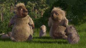 آن سوی پرچین Over the Hedge (2006)